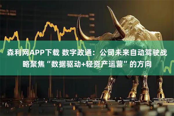 森利网APP下载 数字政通：公司未来自动驾驶战略聚焦“数据驱动+轻资产运营”的方向