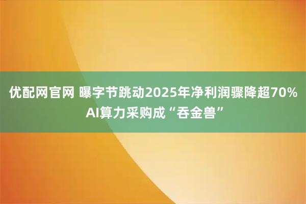 优配网官网 曝字节跳动2025年净利润骤降超70% AI算力采购成“吞金兽”